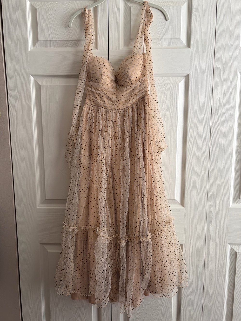 Black Sheep Mesh Polka Dot Midi Dress in Nude